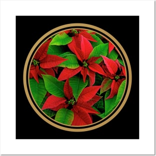 Christmas Flower Posters and Art